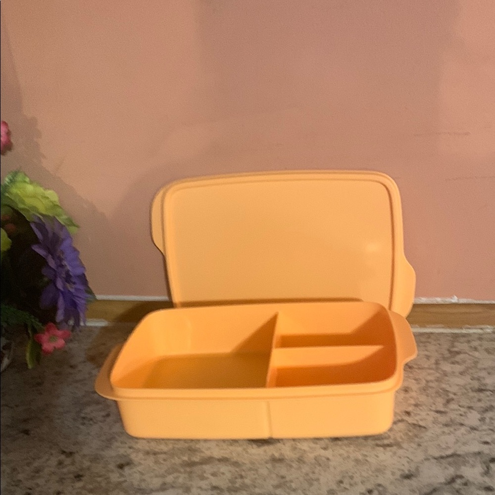 Orange Divided Lunch Box